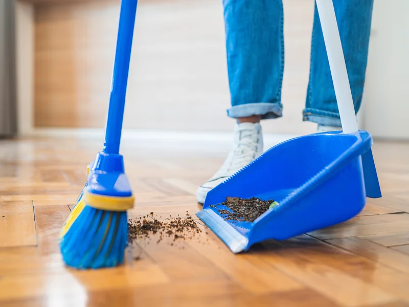 Utilisation d'un balai à poils